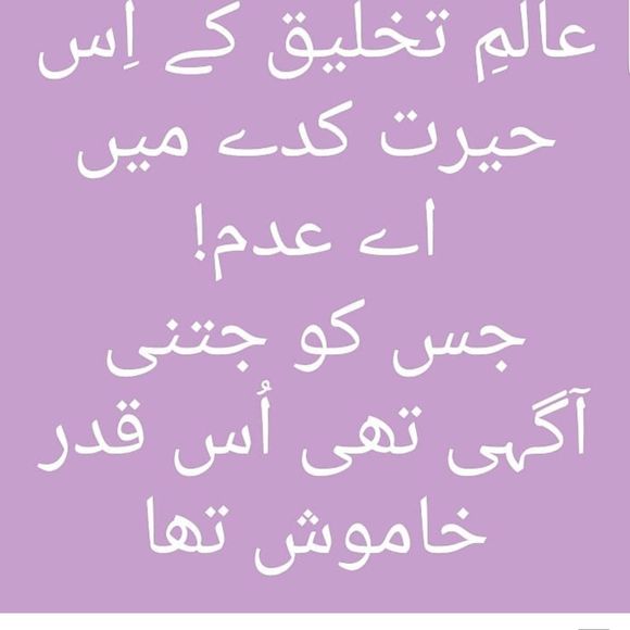 Meet your Posher, Ali - Picture 1 of 1